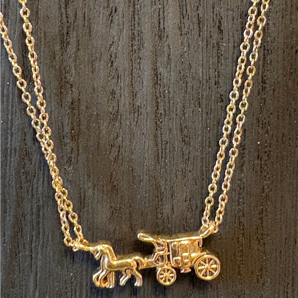 COACH Horse and Carriage Double Chain Necklace (F33375)